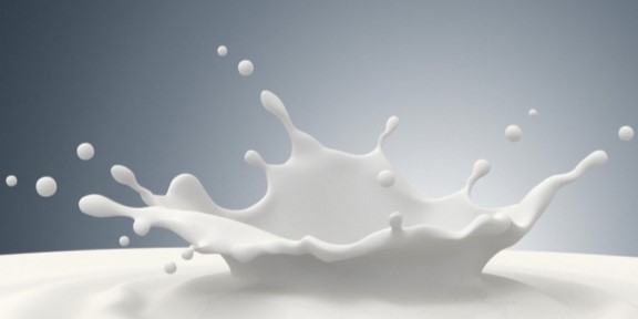 National Milk Day