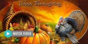 Gourmet thanksgiving dinner online